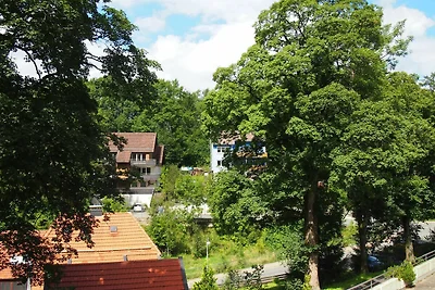 Apartment Harzgrün