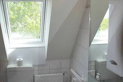 Ferienwohnung Island