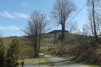 Vakantiehuis Ontspannende vakantie Olsberg