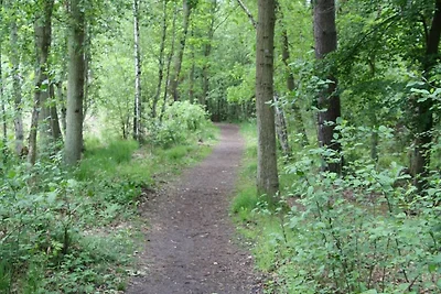 Ferienwohnung im Küstenwald-Ostsee SNR: 56