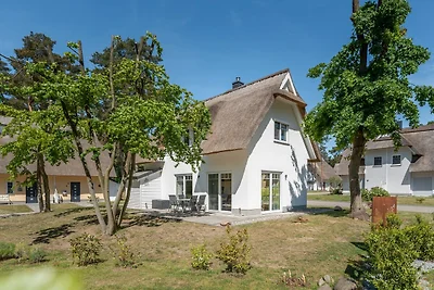 Vakantiehuis Ontspannende vakantie Zirchow