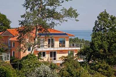 Penthaus 5