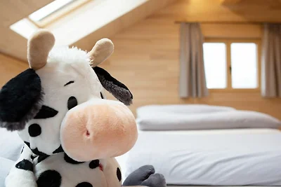 Vakantieappartement Gezinsvakantie Andelsbuch