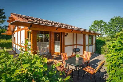 Albergo Cultura ed escursioni Öfingen