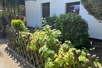 Domek letniskowy Urlop wypoczynkowy Fuhlendorf