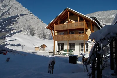 Appartement Vacances avec la famille Mellau