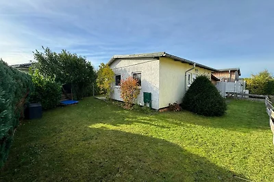 *Casa Petra / Prause GM 69654 SNR: 6