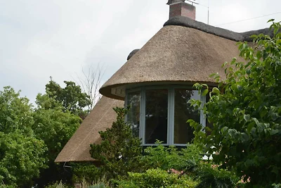 Vakantieappartement Gezinsvakantie Grebin