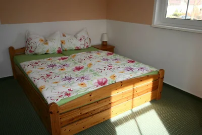 Albergo Cultura ed escursioni Koserow