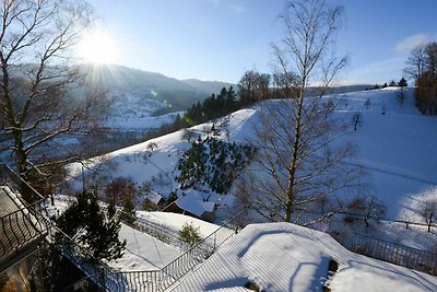 Vakantieappartement Gezinsvakantie Bad Peterstal-Griesbach