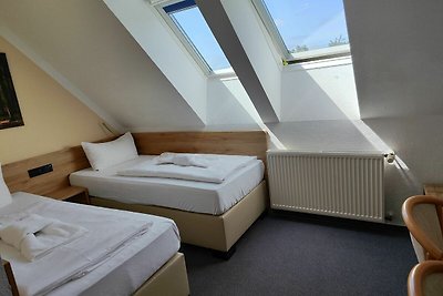 Hotel Cultuur en bezienswaardigheden Friedrichsbrunn