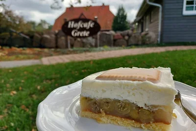 Appartamento Vacanza con famiglia Rerik