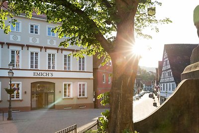 Hotel Cultuur en bezienswaardigheden Neder-Franken