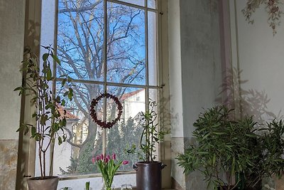 Vakantieappartement Gezinsvakantie Stralsund