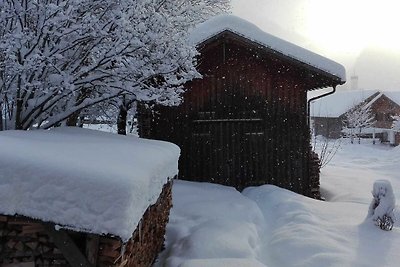 Vakantieappartement Gezinsvakantie Schoppernau