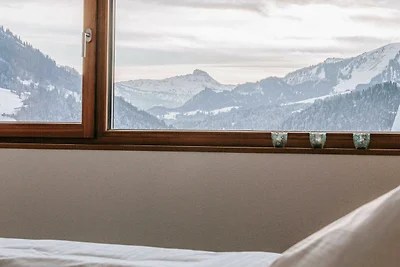 Vakantieappartement Gezinsvakantie Hittisau