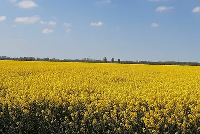 Best of Kollmar, App. mit Terrasse für 2...