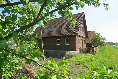 Ferienhaus 331 Herbstprinz 105qm für max.