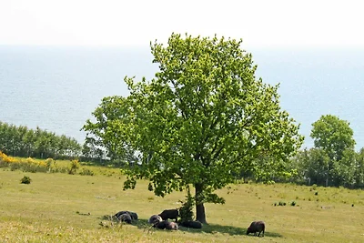 Ferienzimmer Silbermöwe