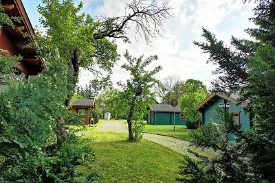 Albergo Cultura ed escursioni Elsterheide