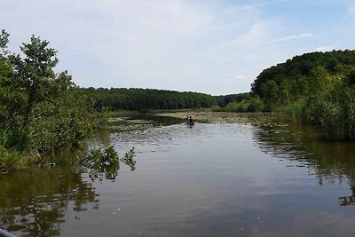 Finnhütte Jano direkt am See mit Boot, Kamin