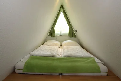 Albergo Cultura ed escursioni Butjadingen