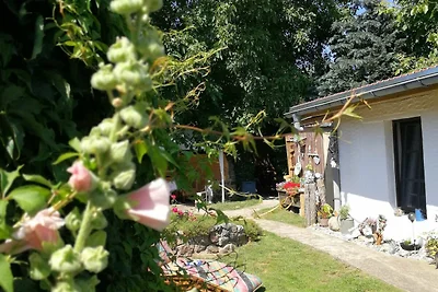Casa vacanze Vacanza di relax Lichtenhagen