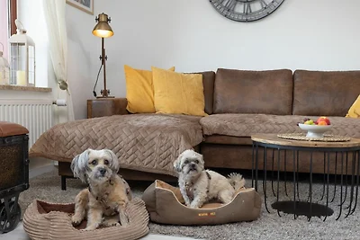 Fewo, 2 Pers., Hunde erlaubt