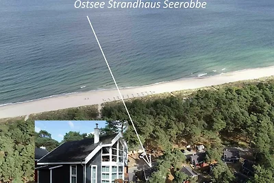 Ferienhaus Ostsee Strandhaus Seerobbe
