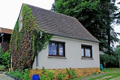 Ferienwohnung mit Terrasse OG
