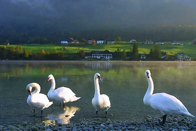 Vakantieappartement Gezinsvakantie Abersee