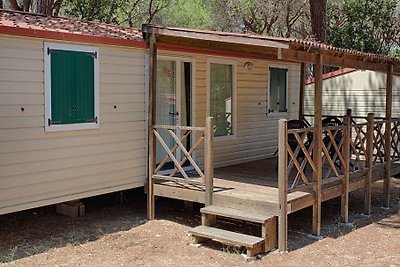 Feriendorf Marze - Lodge Comfort Principina A...