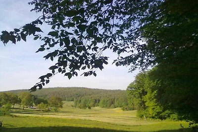Vakantieappartement Gezinsvakantie Lützelbach