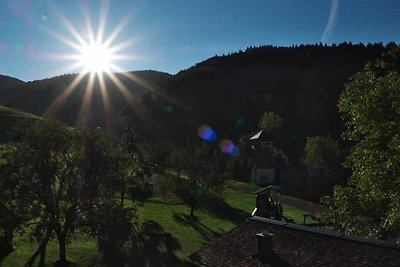 Ferienwohnung Schafberg