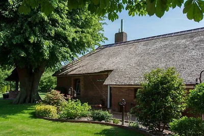 Ferienhaus Lüttje Cottage