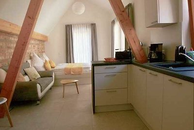 Vakantieappartement Gezinsvakantie Breisach