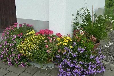 Ferienwohnung 2 mit Terrasse
