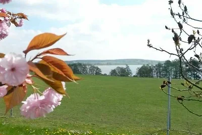 Vakantieappartement Gezinsvakantie Wesenberg