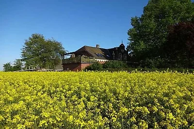 Vakantieappartement Gezinsvakantie Gelting