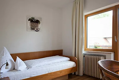 Hotel Cultuur en bezienswaardigheden Schliengen