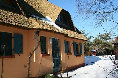 Appartamento Vacanza con famiglia Wustrow (Ostsee)
