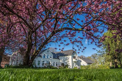 Vakantieappartement Gezinsvakantie Süderbrarup