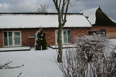 Appartamento Vacanza con famiglia Wustrow (Ostsee)