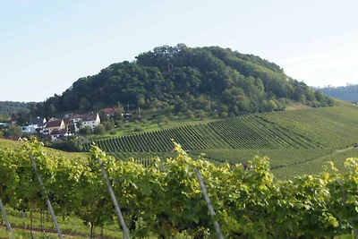 Ferienwohnung Riesling