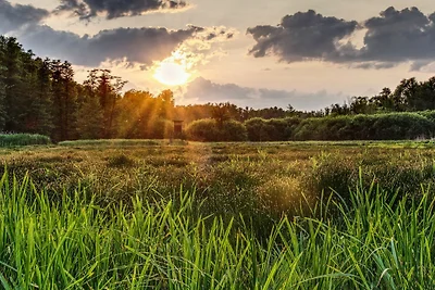Appartamento Vacanza con famiglia Lübbenau
