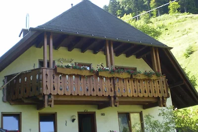 Ferienwohnung 30qm, 1 Wohn-/Schlafraum, max.