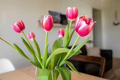 Vakantiehuis Ontspannende vakantie Lancken-Granitz