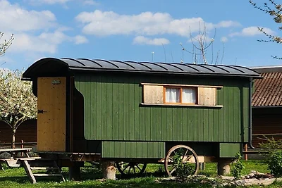 Schäferwagen grün