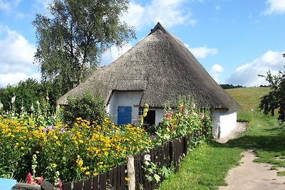 Vakantieappartement Gezinsvakantie Thiessow