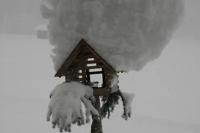 Vakantieappartement Gezinsvakantie Schoppernau